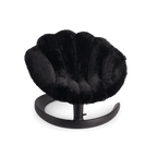 Shell - TAVO Pets