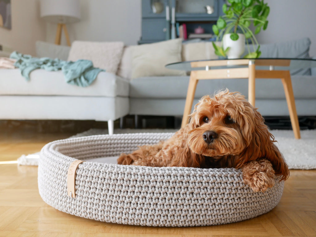 Lukko Hundebett - LABBVENN
