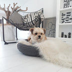 Coco Designer Hundekorb - LABBVENN