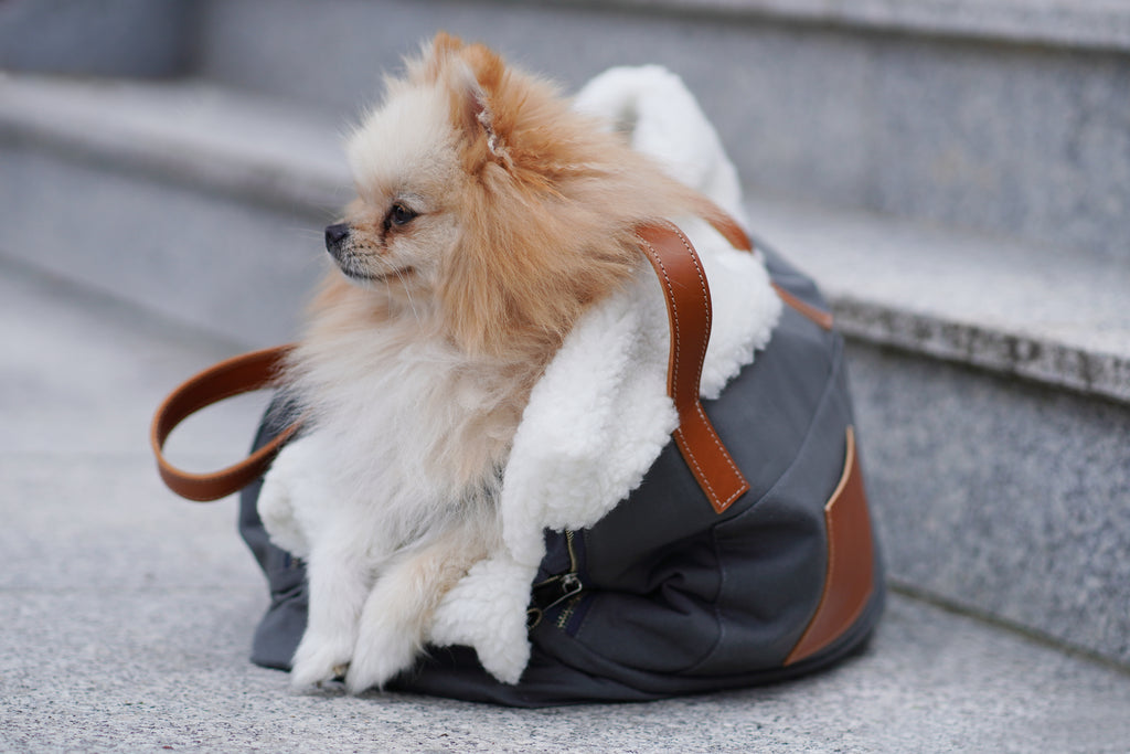 Liiva Hundetragetasche - LABBVENN