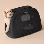Crispin - TAVO Pets