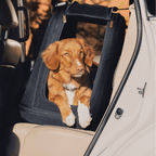 Crispin - TAVO Pets