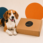 DOG Edition - Überraschungsbox HALLOWEEN EDITION