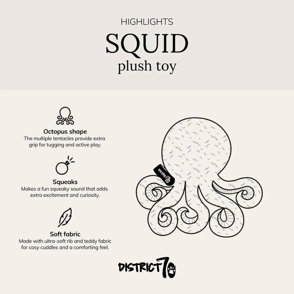 Squid - District 70