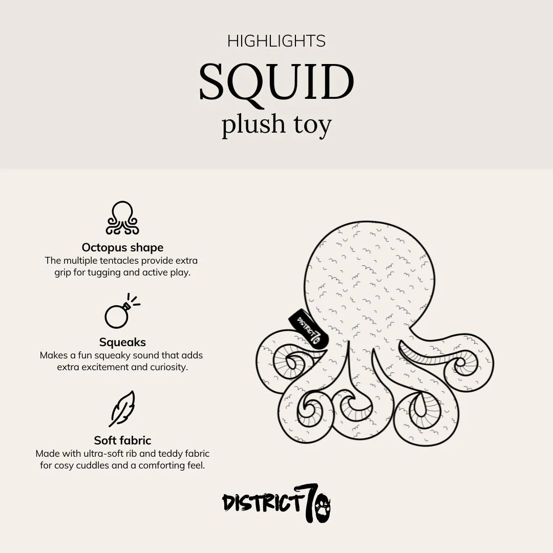 Squid - District 70