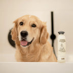 Hundeshampoo & Conditioner All-in-one - Greenfields
