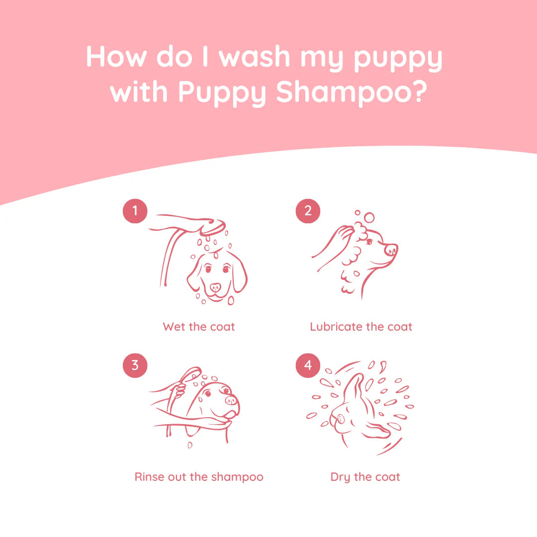 Hundeshampoo Welpe 270 ml - Greenfields