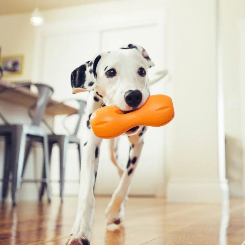 Zogoflex Qwizl Puzzle -  West Paw