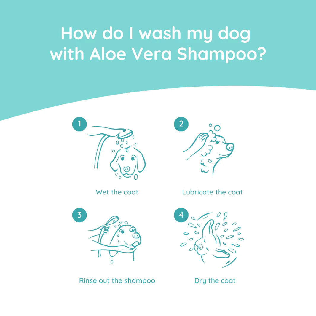 Hundeshampoo Aloe Vera - Greenfields